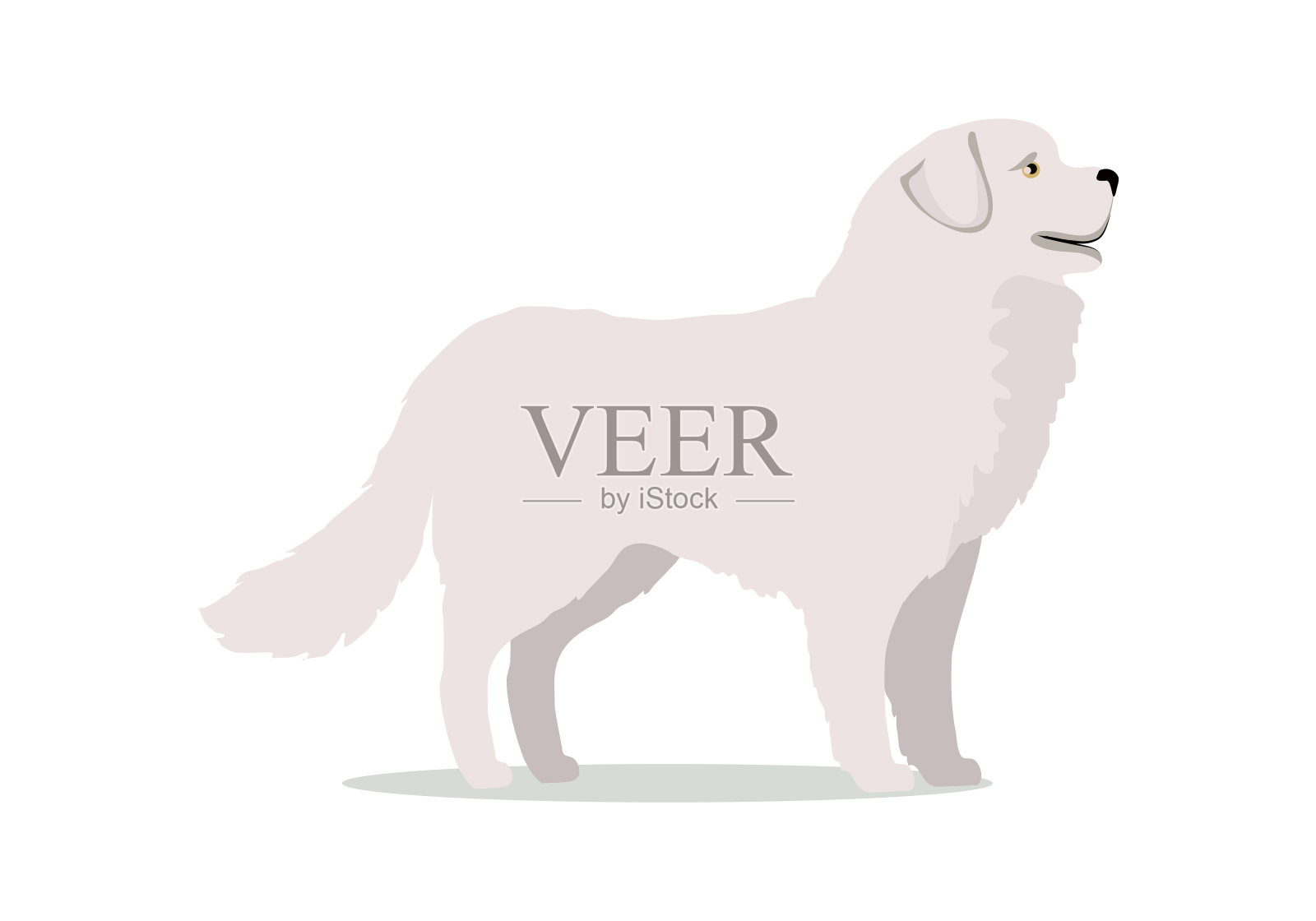 拉布拉多犬站在白色背景上设计元素图片