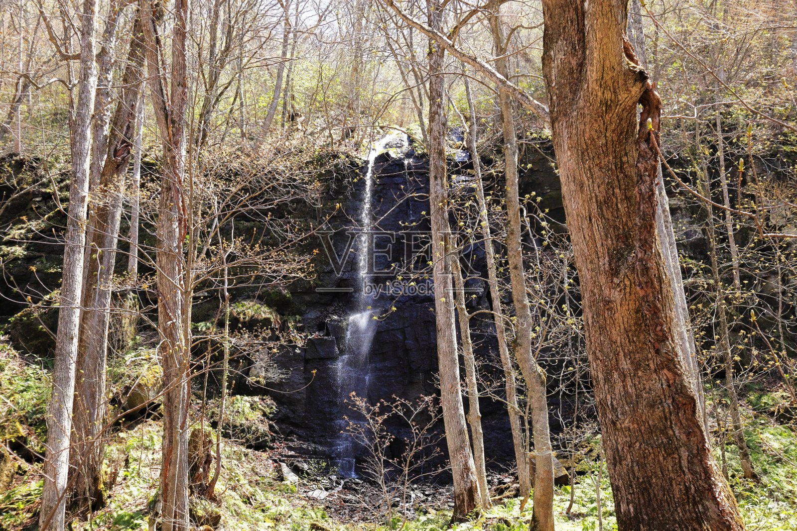 日本青森市的磐濑山溪照片摄影图片