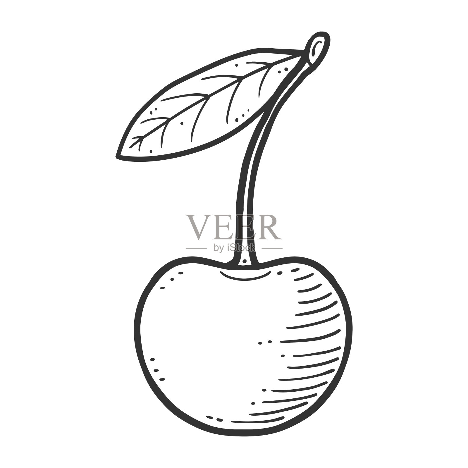 有机新鲜樱桃。矢量概念在涂鸦和素描风格。插画图片素材