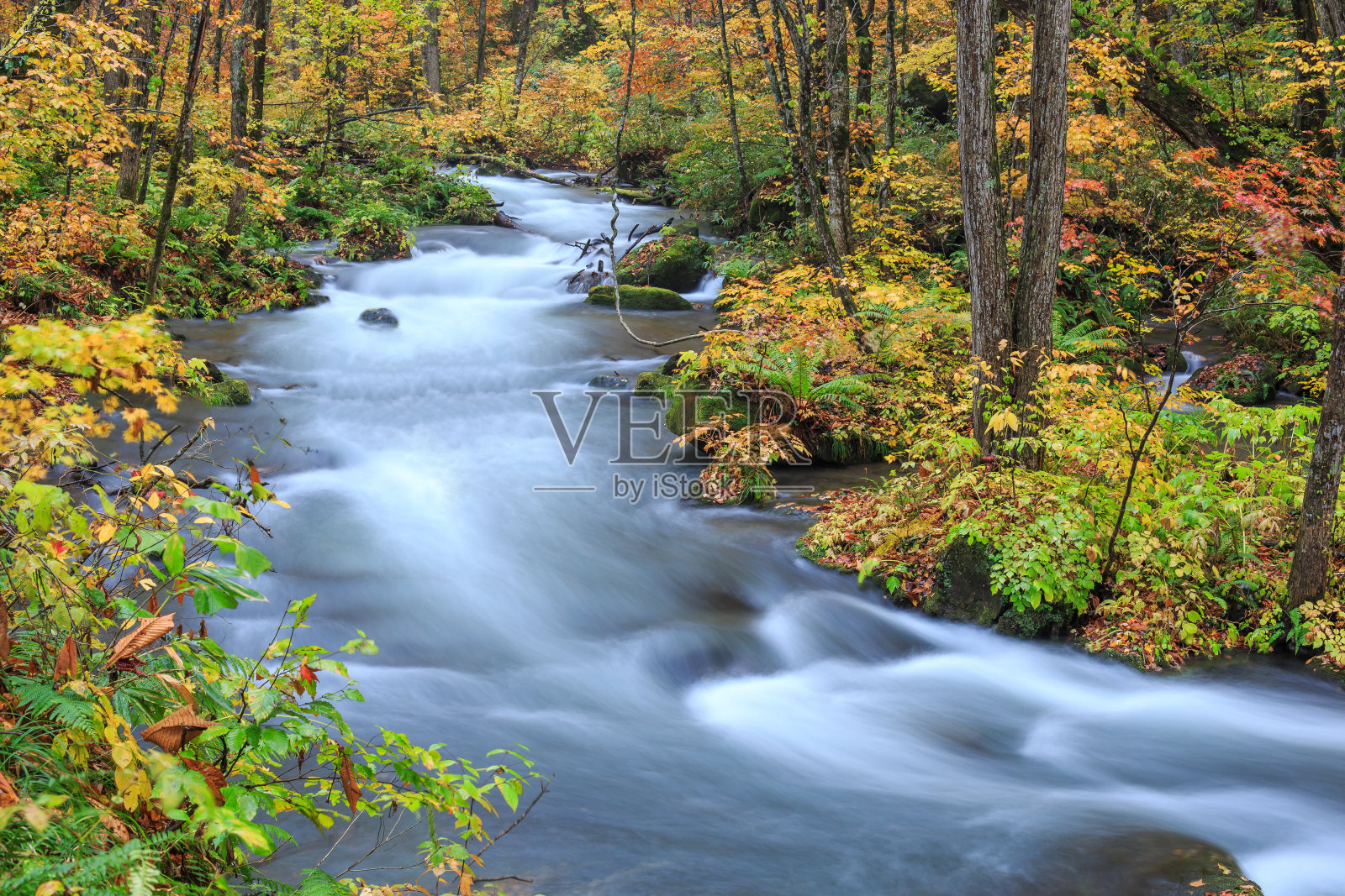 秋天的磐濑溪-日本青森和田照片摄影图片