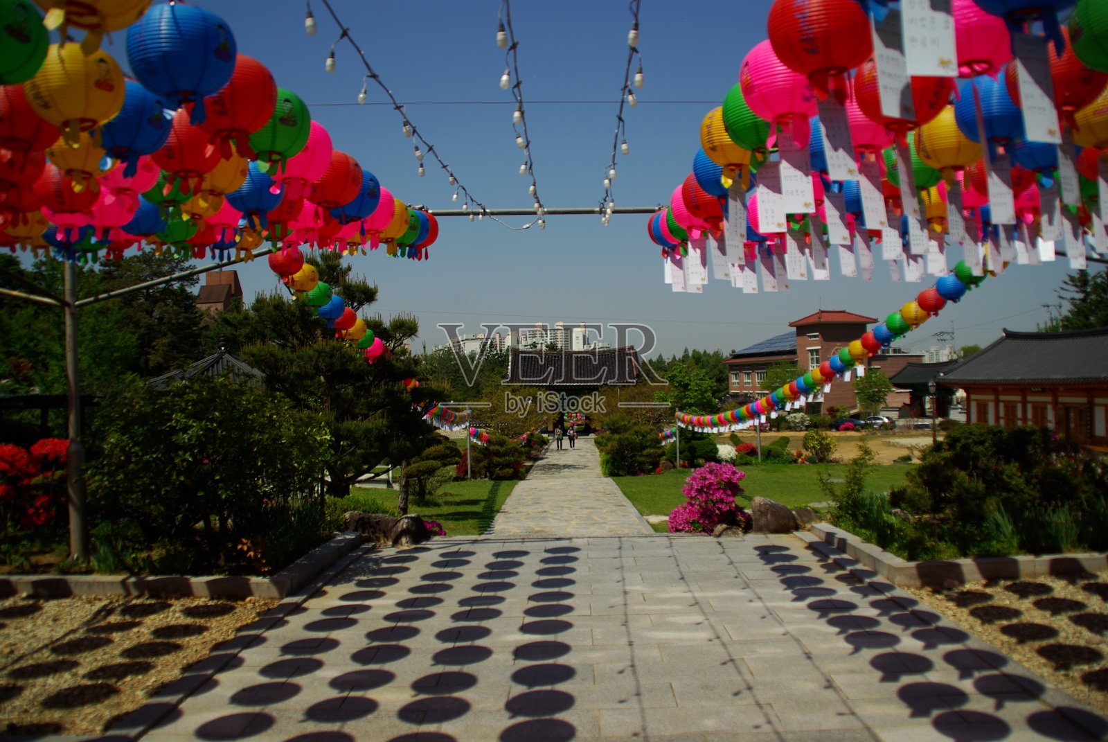 佛诞景观照片摄影图片