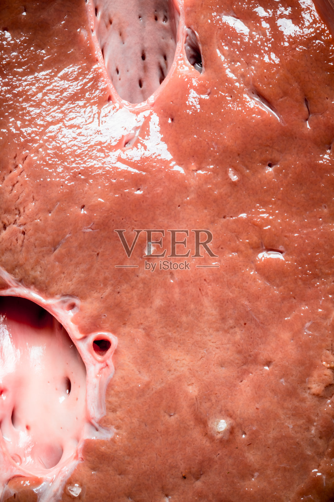 新鲜的生肝。照片摄影图片