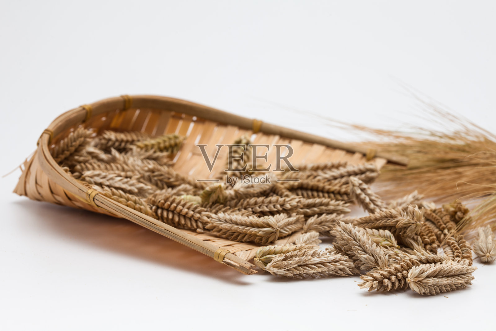 小麦，黑麦，大麦分离照片摄影图片