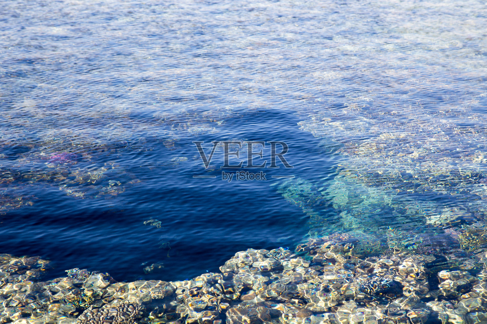 透过清澈的蓝色海水可以看到珊瑚礁。美丽的蓝色海浪特写照片。海滩度假在海上或海洋。背景插入图像和文本。旅游,旅行。照片摄影图片