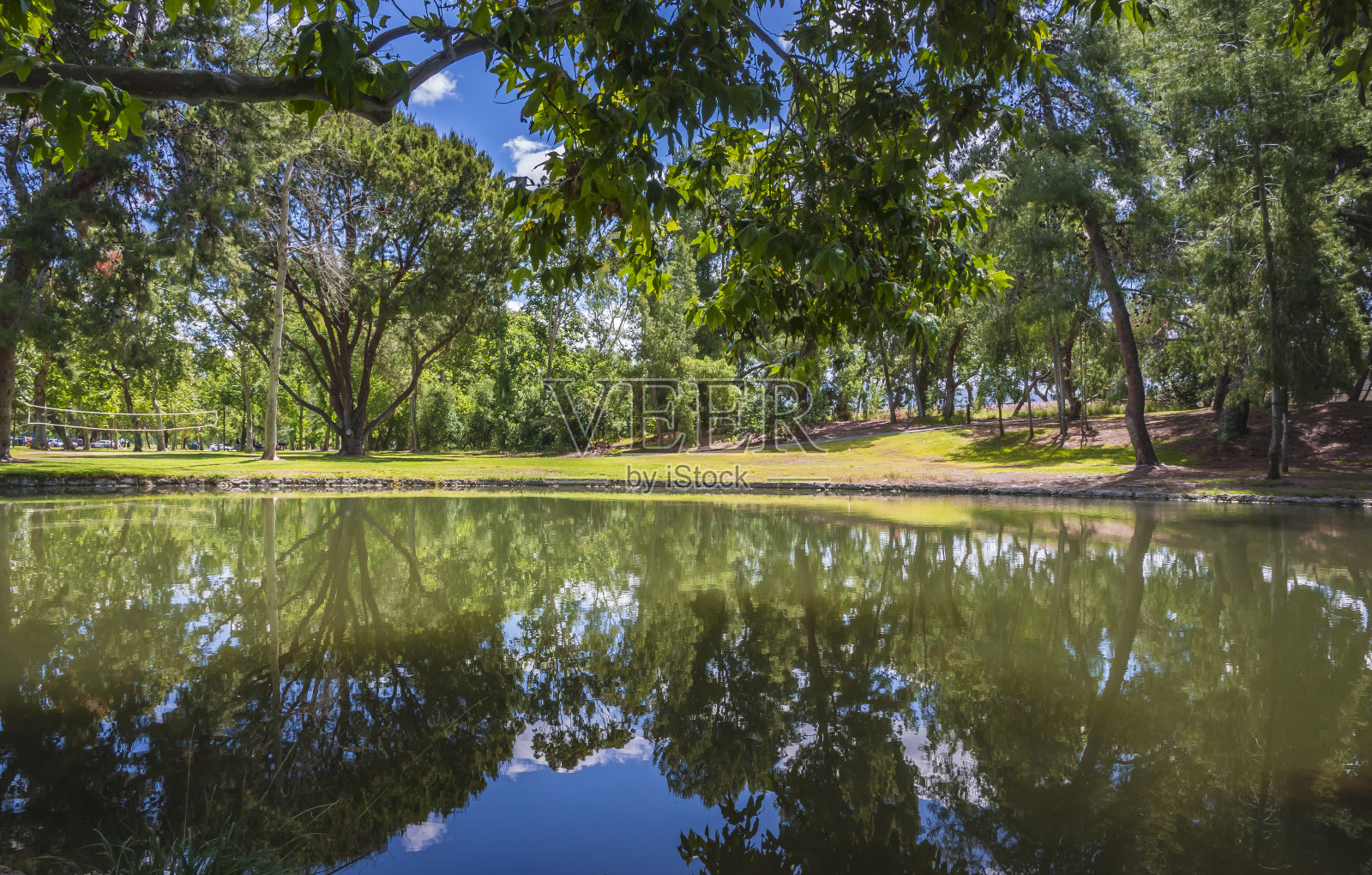 光的生命。照片摄影图片