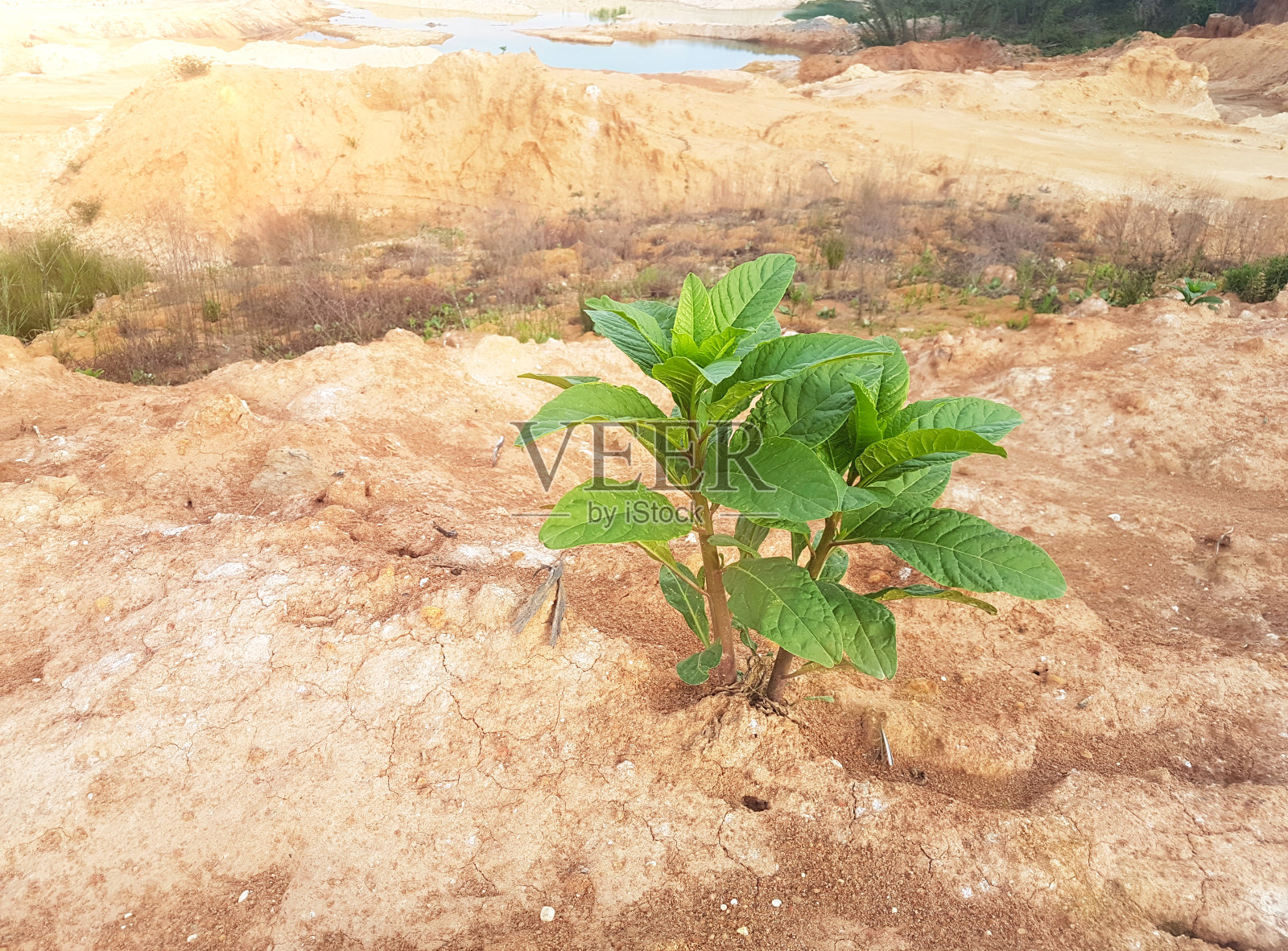 全框自然污垢背景。土壤侵蚀照片摄影图片