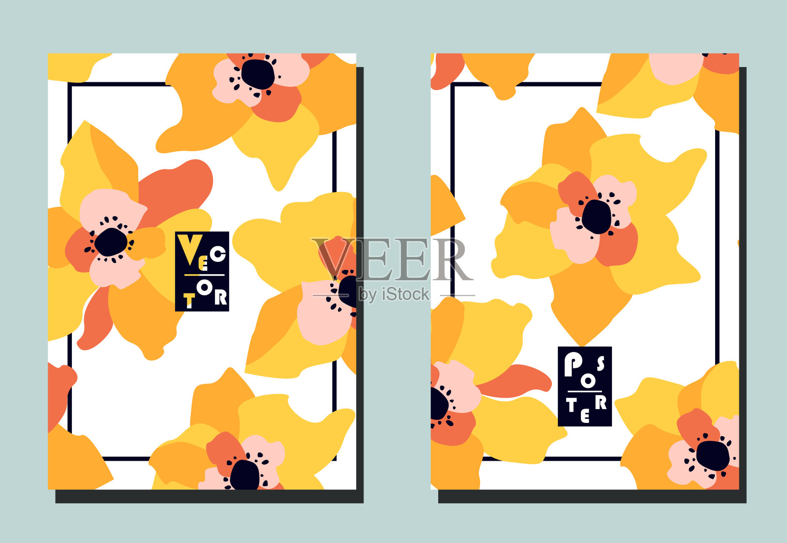 封面用美丽的黄粉色花在白色的背景。两个花载体模板的传单插画图片素材