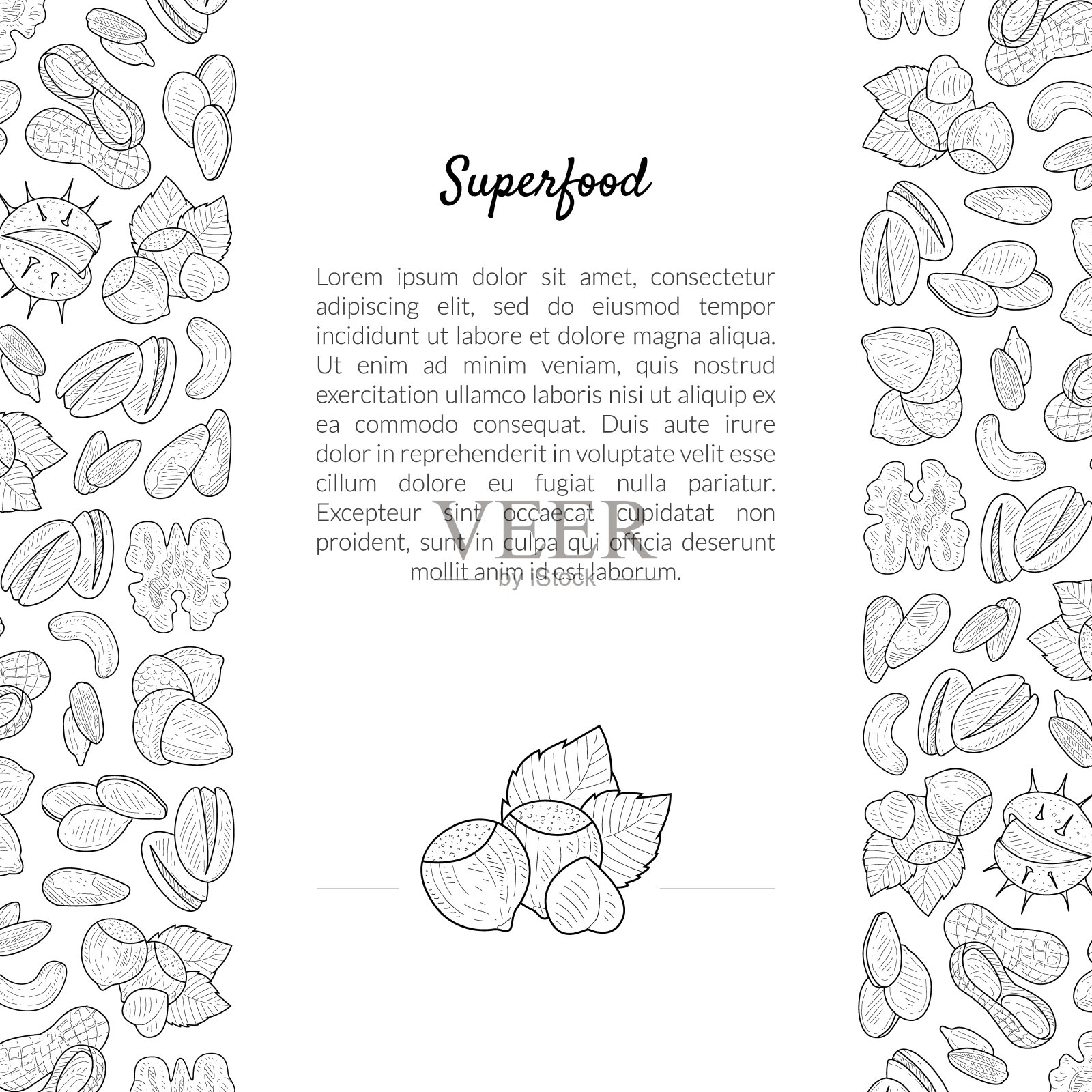 超级食物横幅模板与地方为你的文本坚果和种子手绘模式，美味和健康的有机食物矢量插图插画图片素材