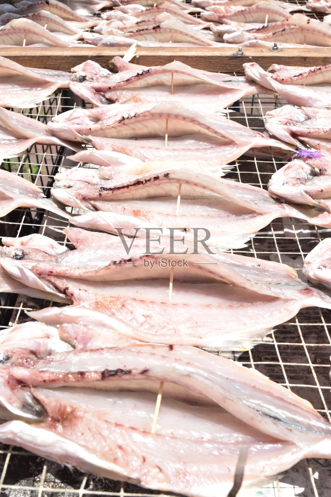 发酵的鱼照片摄影图片