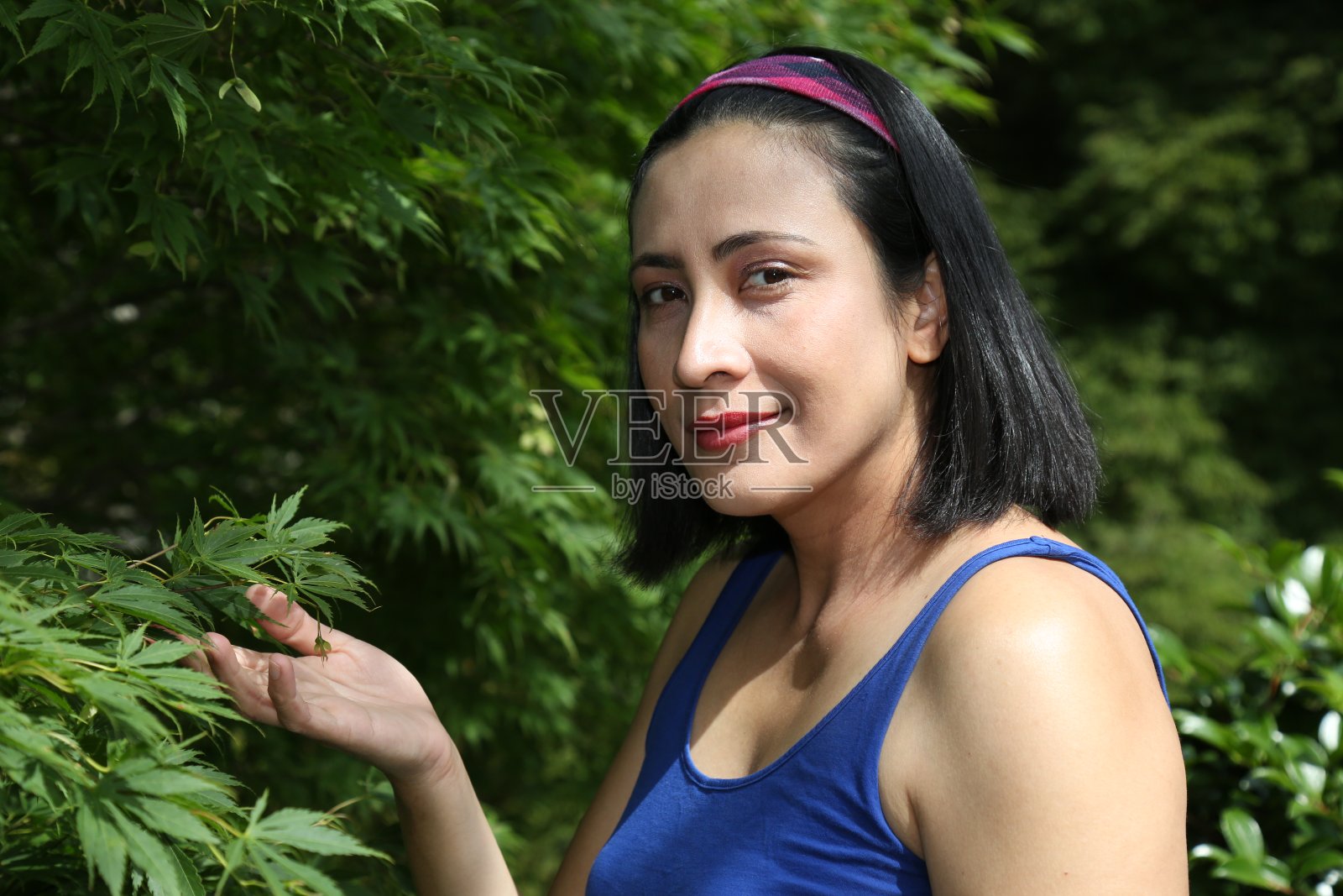 自然美照片摄影图片