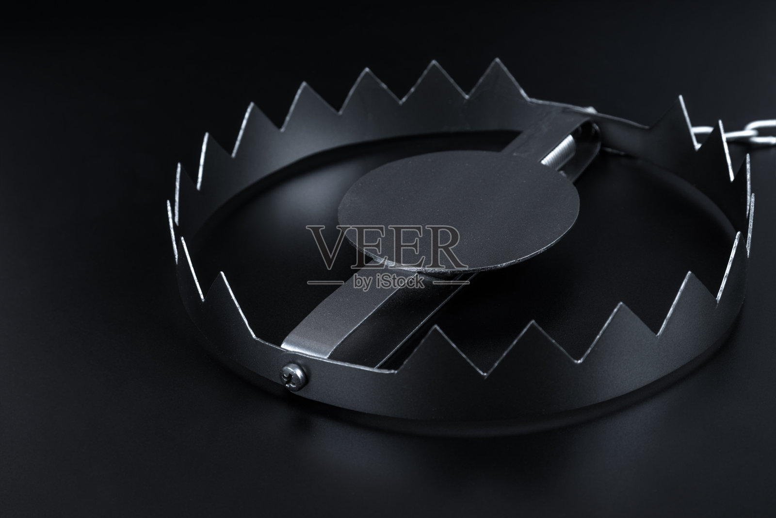 金属熊陷阱。经营理念的想法。情况下,设置风险。照片摄影图片