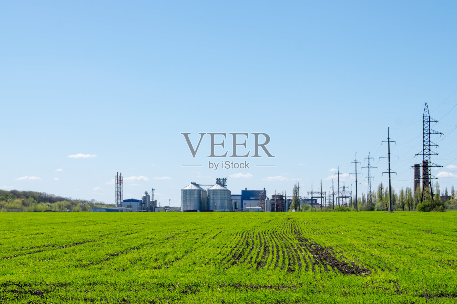 现代化的大豆加工厂，农业粮仓映衬着绿色的田野和蓝天。谷物，小麦，玉米，大豆，向日葵的储存和干燥。饲料加工厂的农业筒仓。照片摄影图片