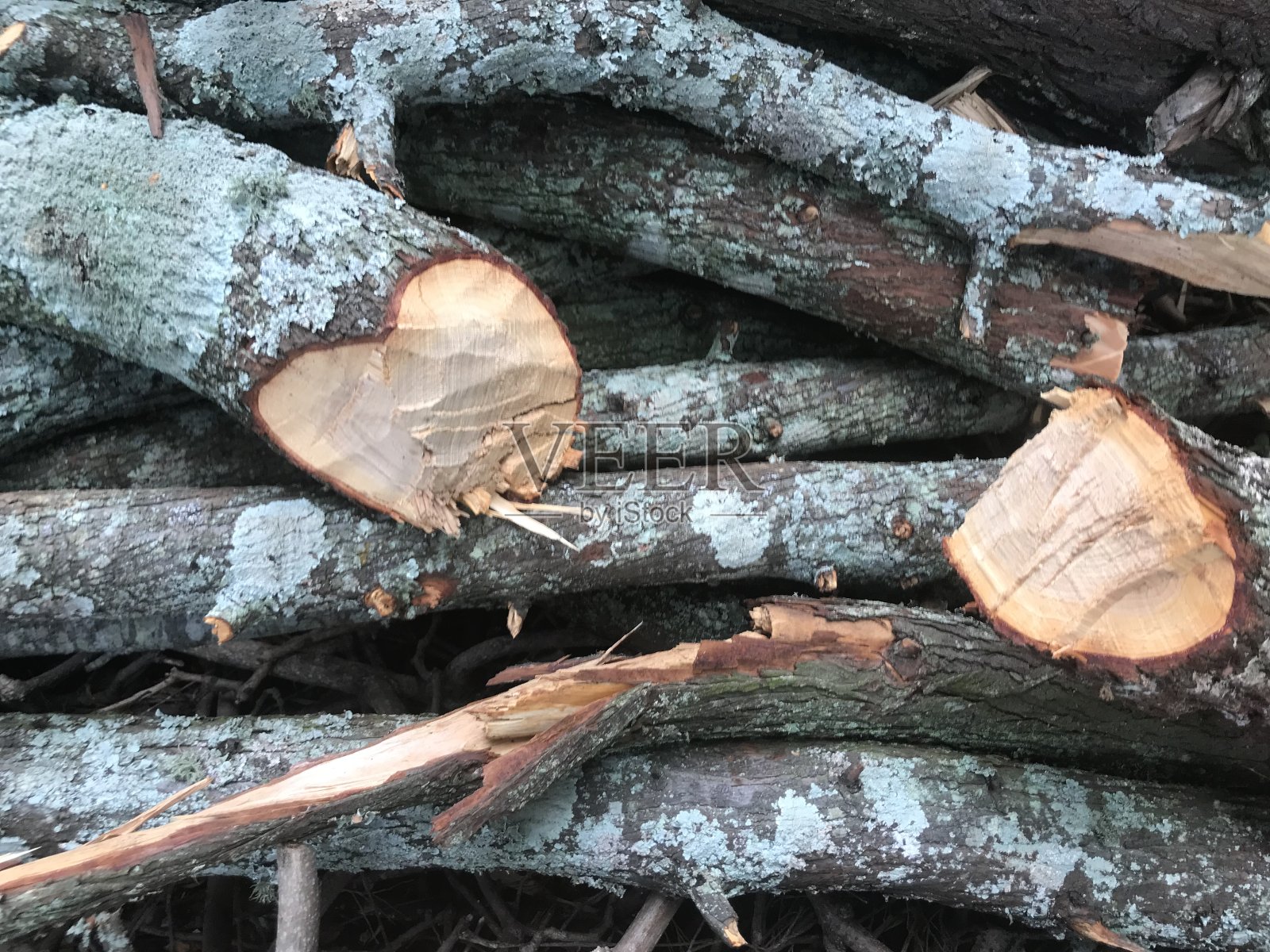 柴枝把折断的干柴劈开成堆照片摄影图片