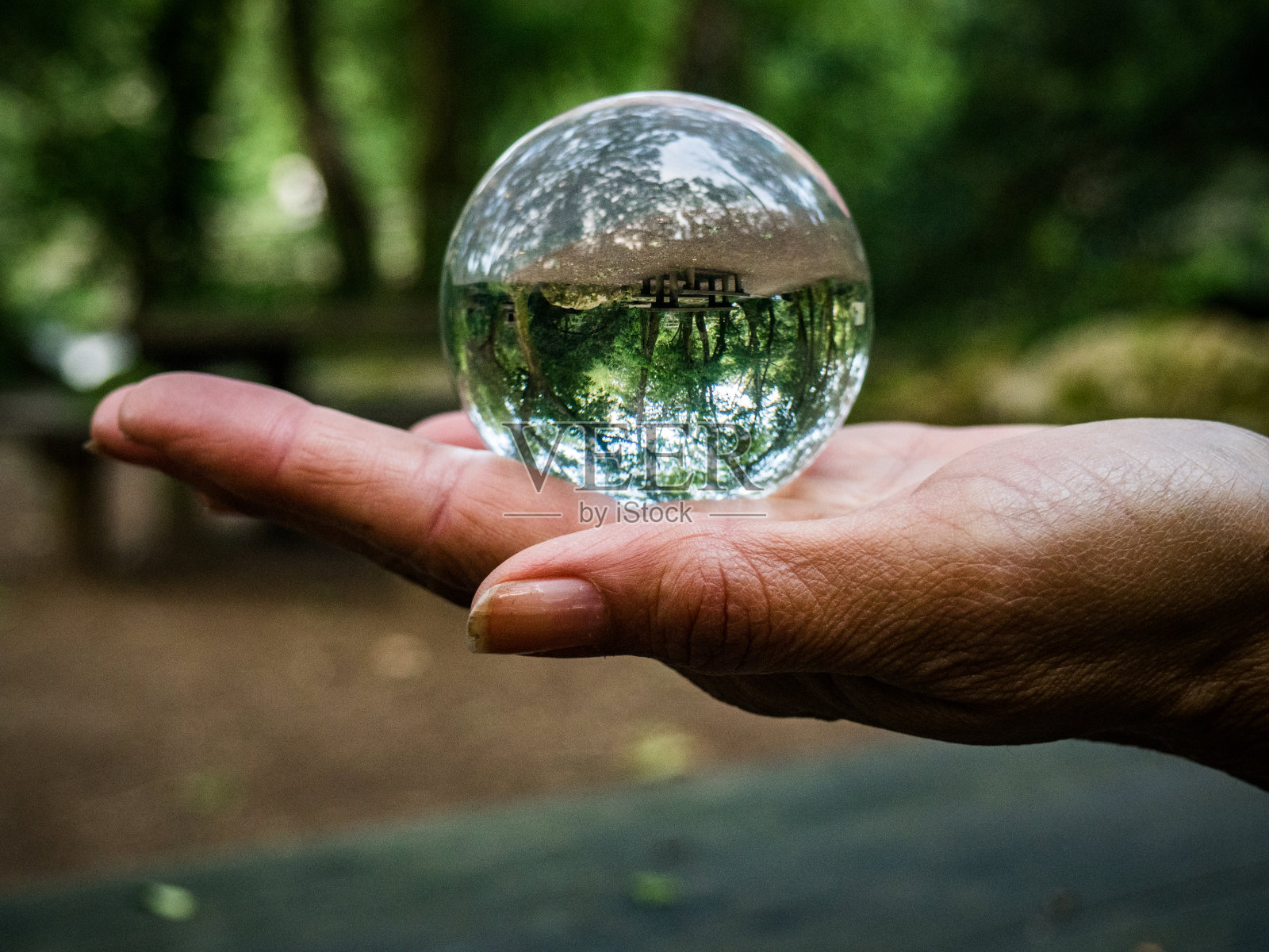 森林倒影在玻璃球上照片摄影图片