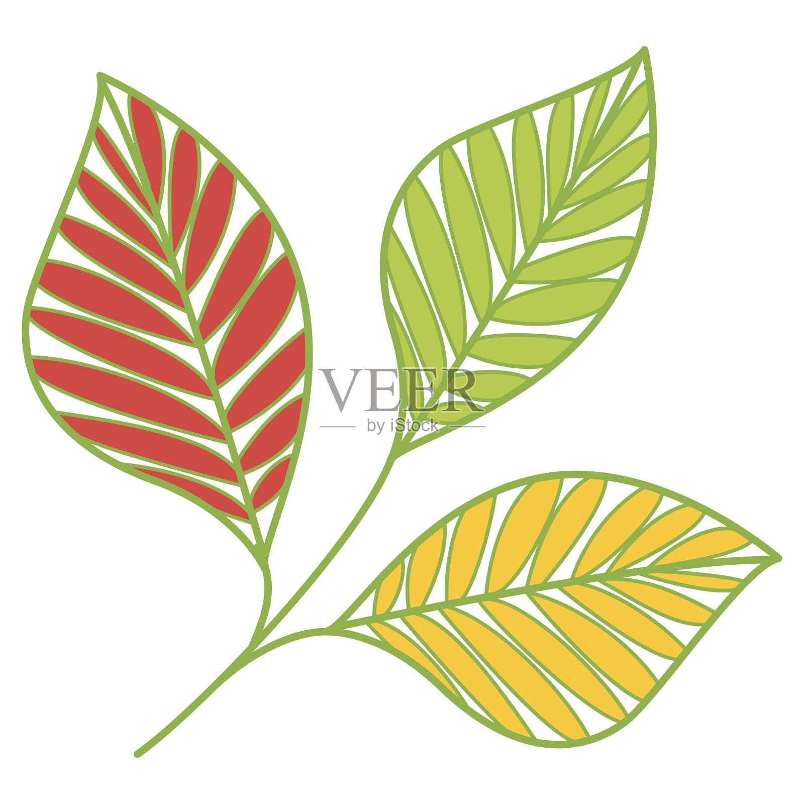 叶孤立在白色上。插画图片素材