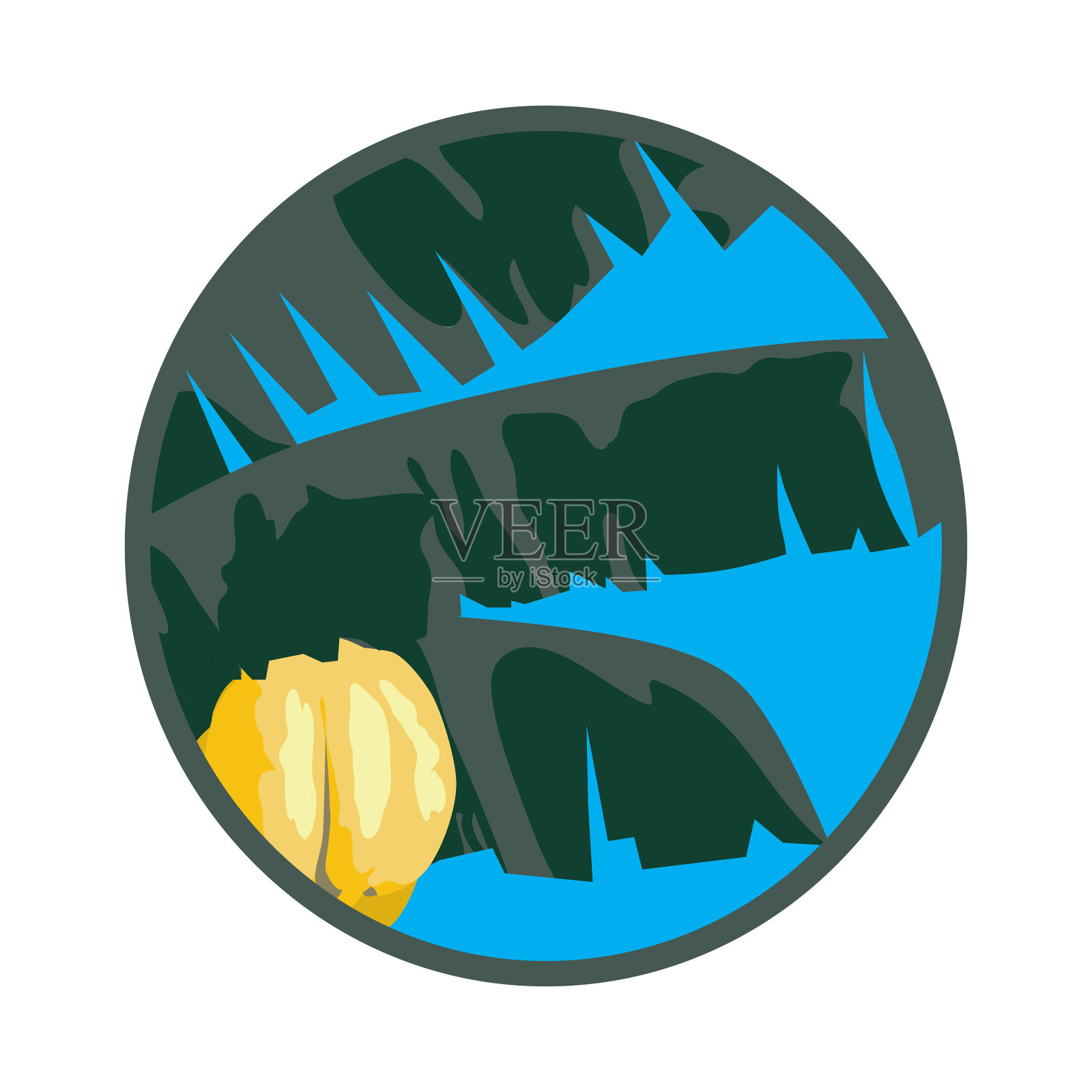 香蕉树插画图片素材