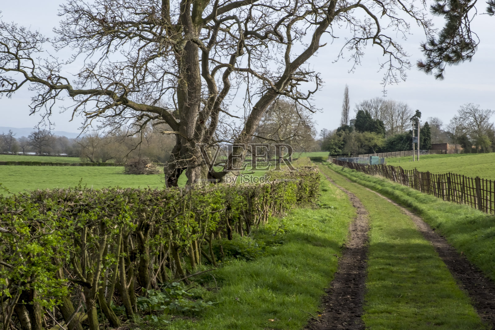 乡村的小路上照片摄影图片