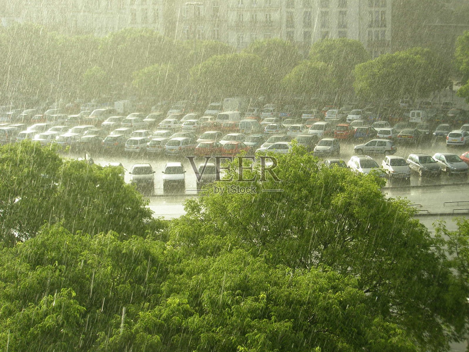 城中观雨，大雨倾盆照片摄影图片