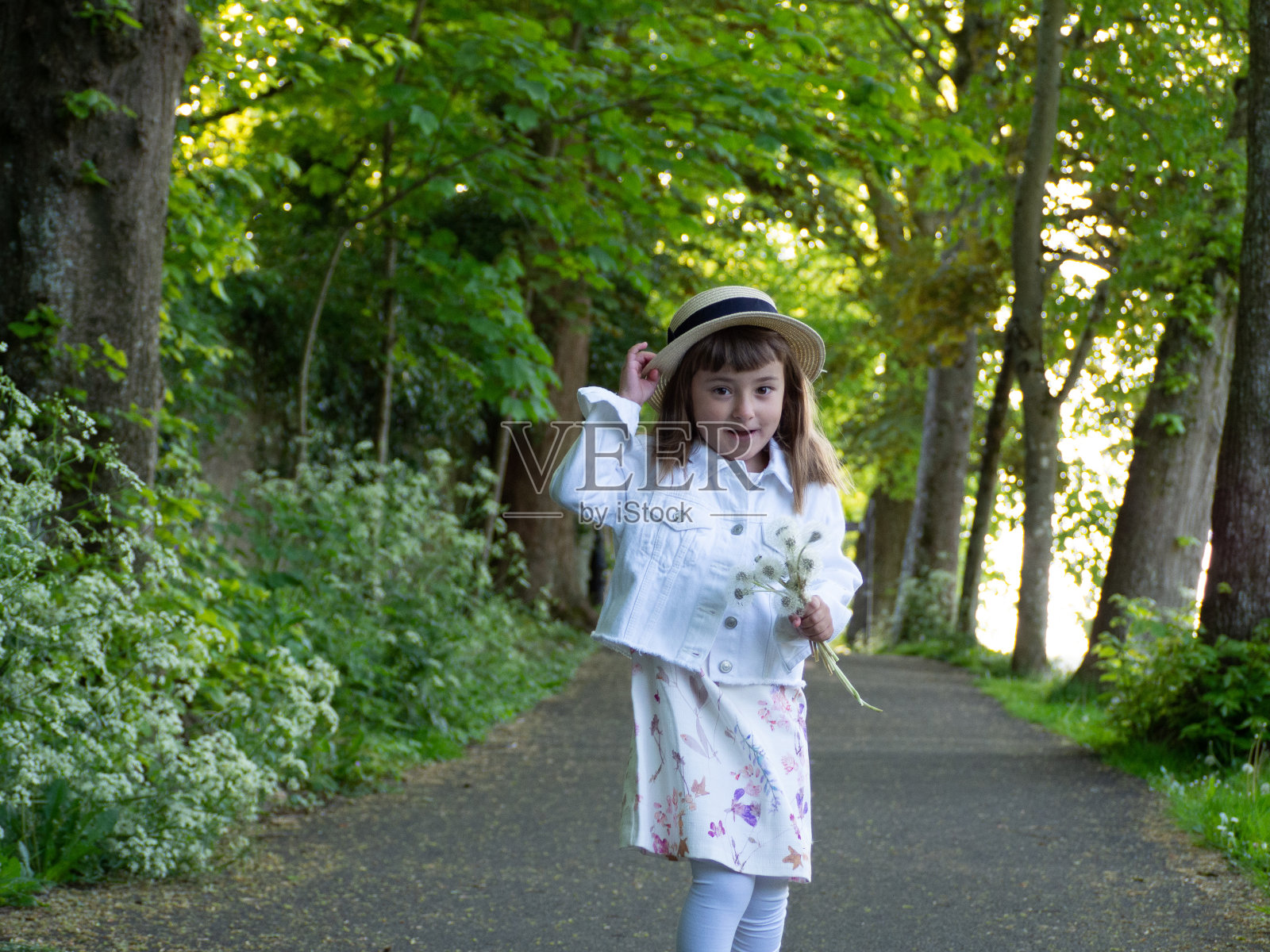 А漂亮的小女孩正在采花。一个阳光明媚的孩子，戴着草帽，在一片绿色的草地上采摘蒲公英。夏天的女孩。照片摄影图片