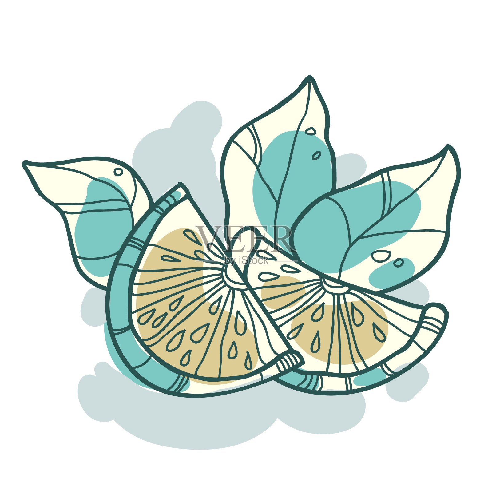 矢量柠檬酸橙设计插画图片素材