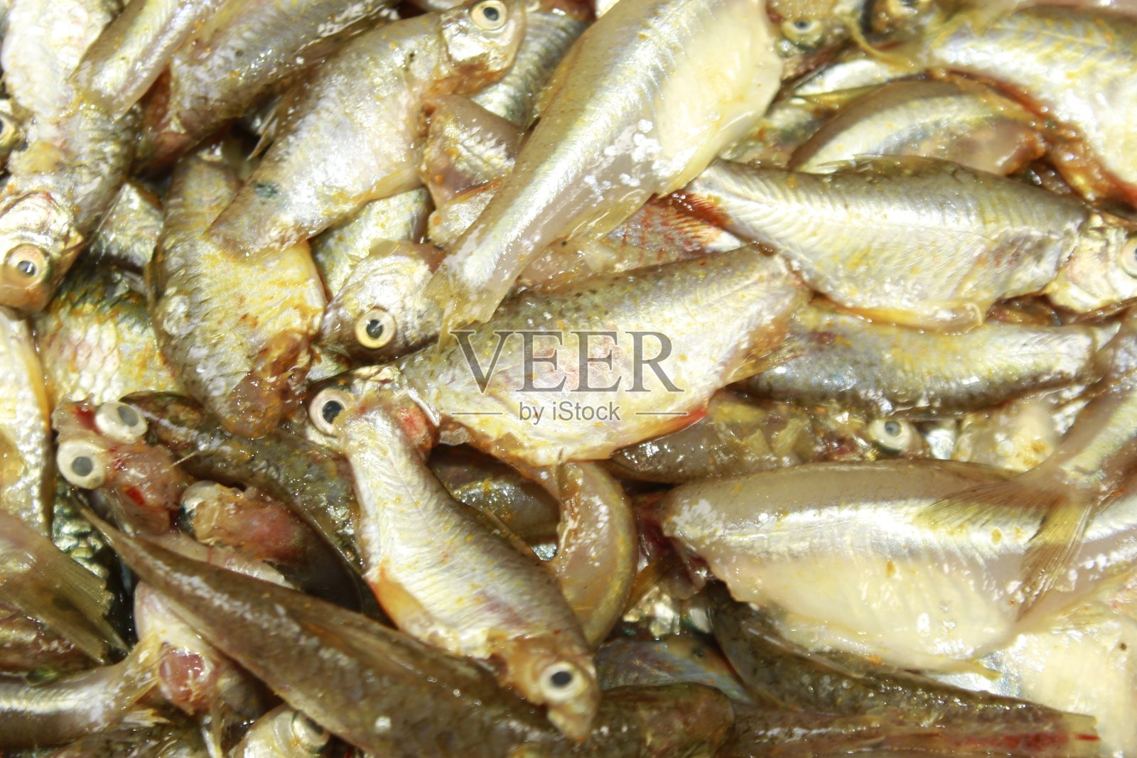 新鲜生鱼，健康食品。照片摄影图片