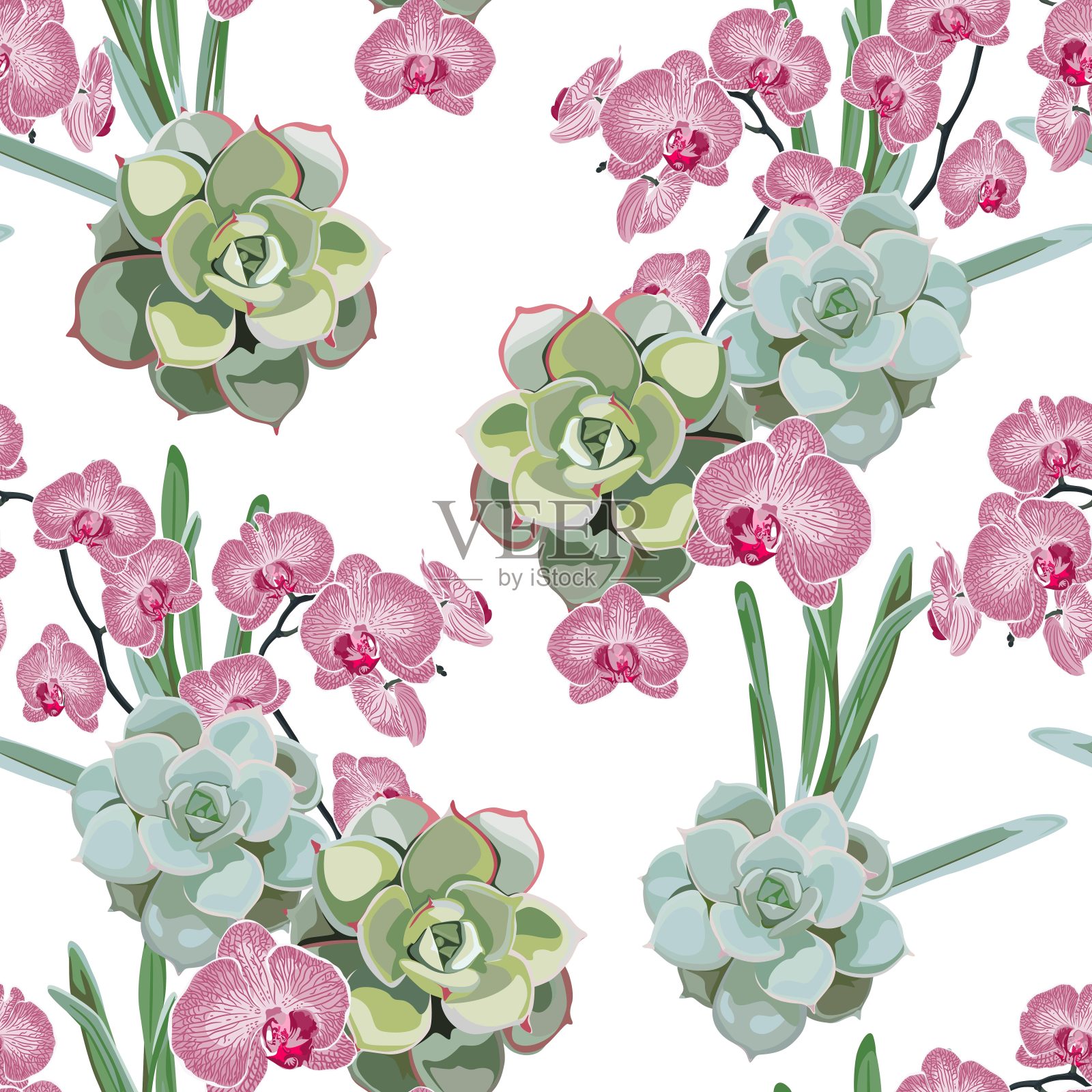 花卉图案，精致的花墙纸，粉红色兰花和绿色肉质。白色背景上的精致女性图案。插画图片素材