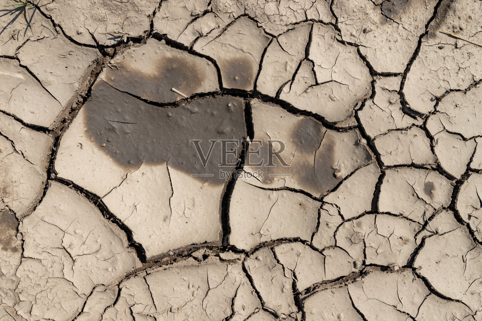 斯佩卡纳的土地干旱。降雨量少的地区缺水。夏天的季节。照片摄影图片