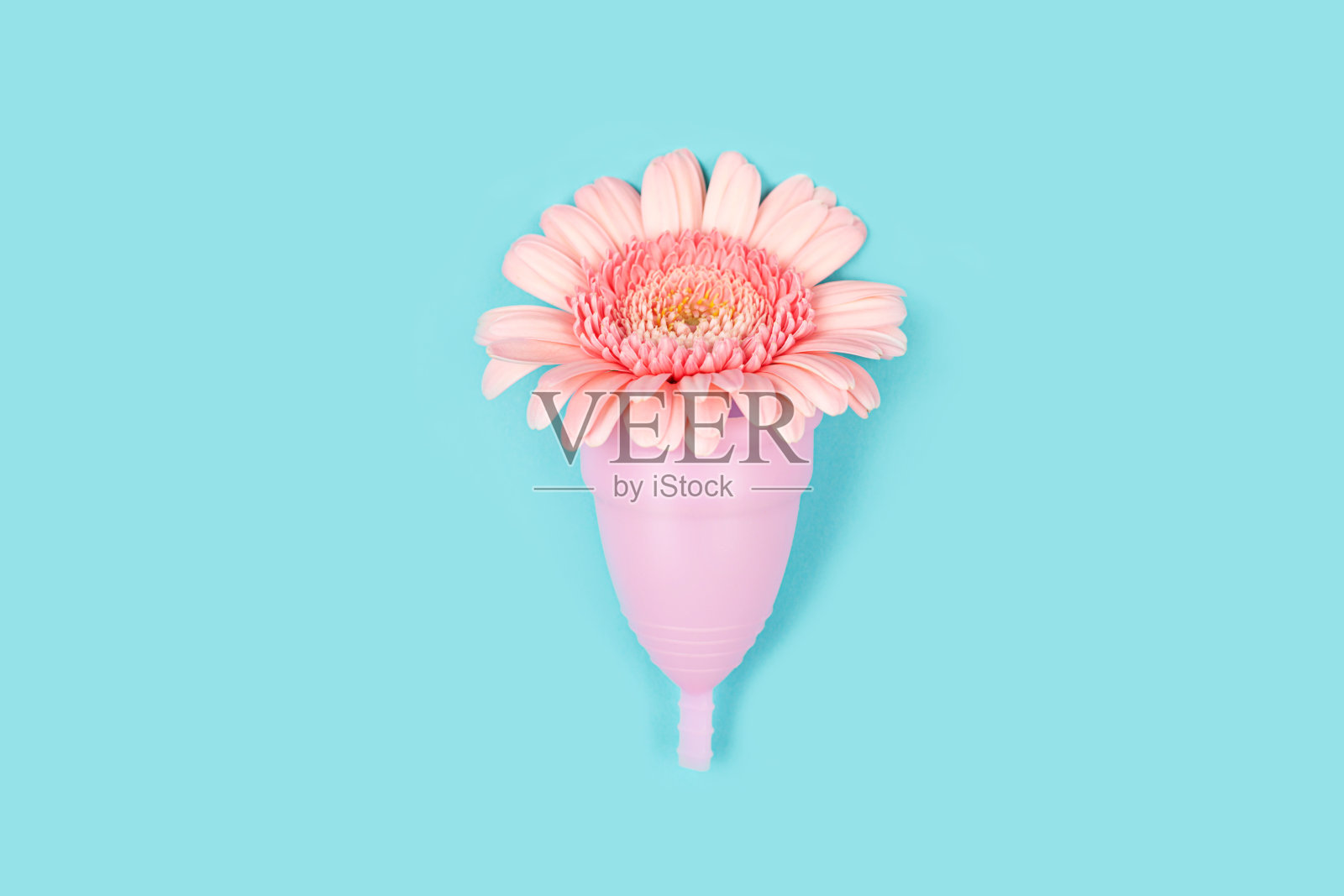 粉红色的月经杯和蓝色背景上的一朵花。照片摄影图片