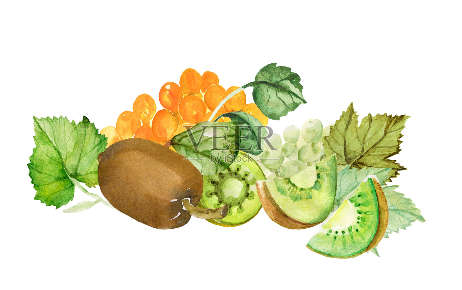 自然的礼物。插画图片素材