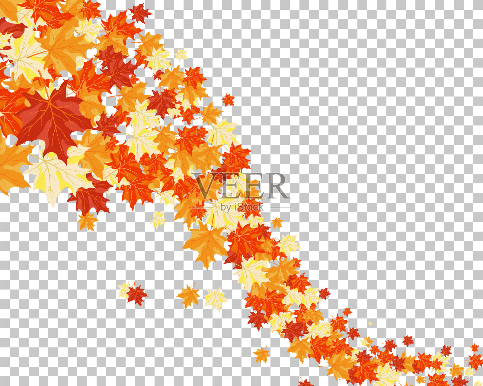 下降的枫叶插画图片素材