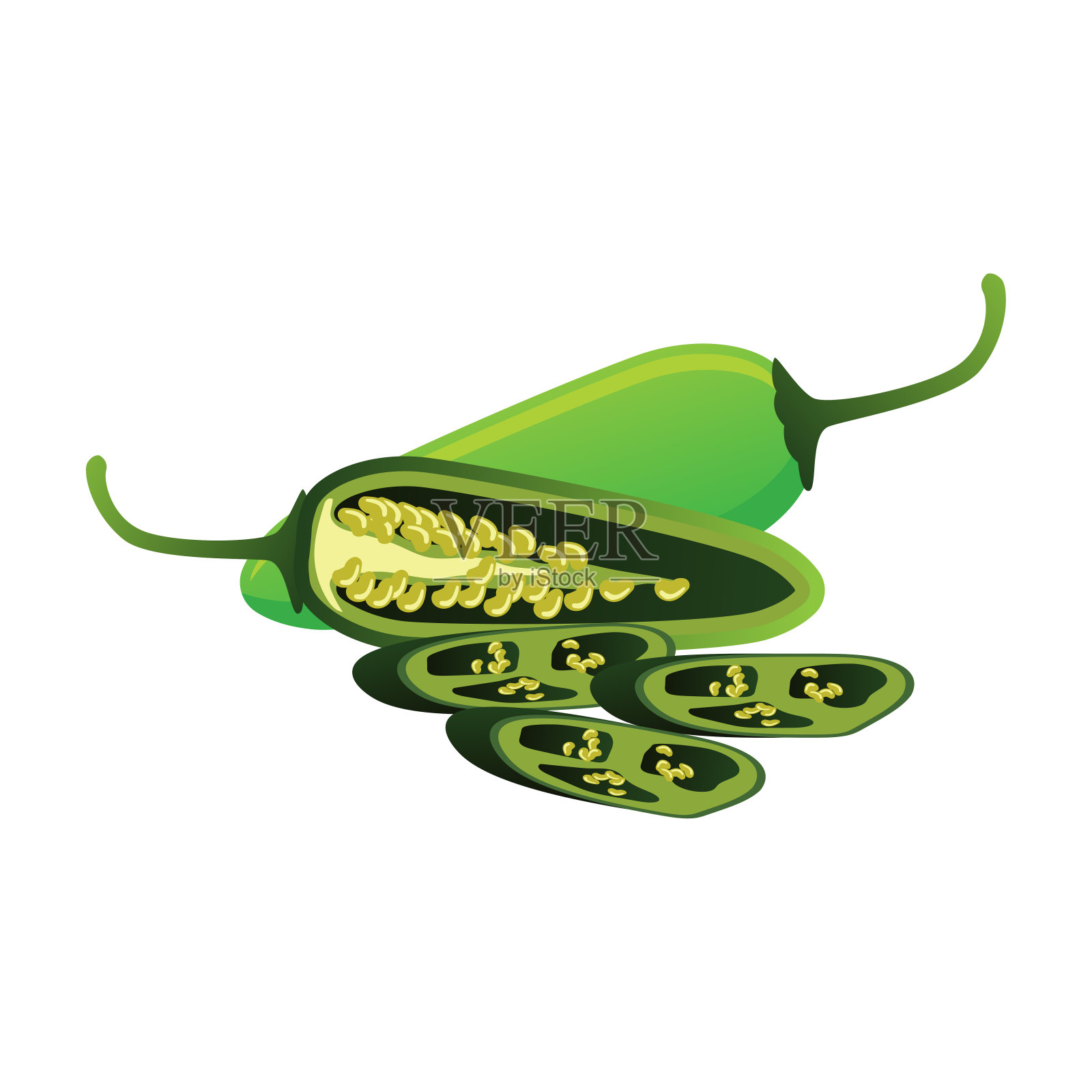 墨西哥胡椒，绿辣椒。矢量图插画图片素材