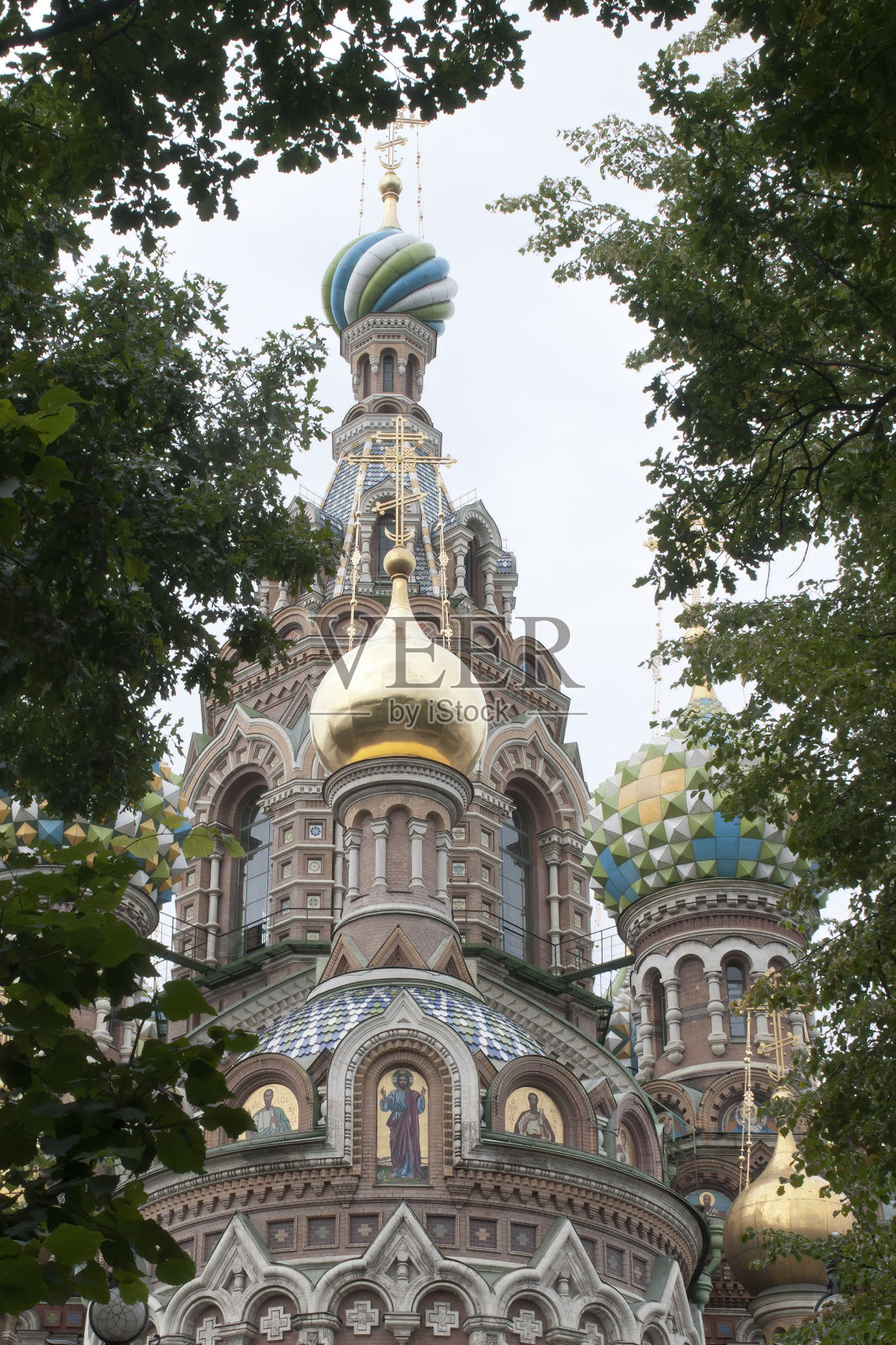 在一个阴天透过树洒血的救世主教堂的观点照片摄影图片