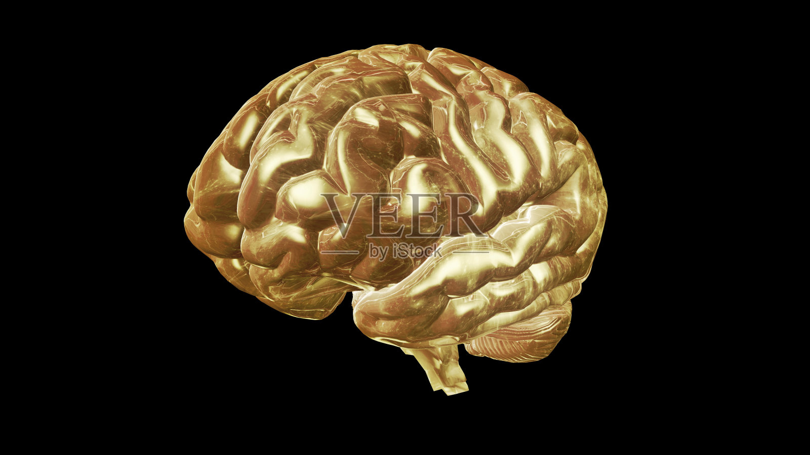 计算机人脑模型和人工智能概念的三维渲染照片摄影图片