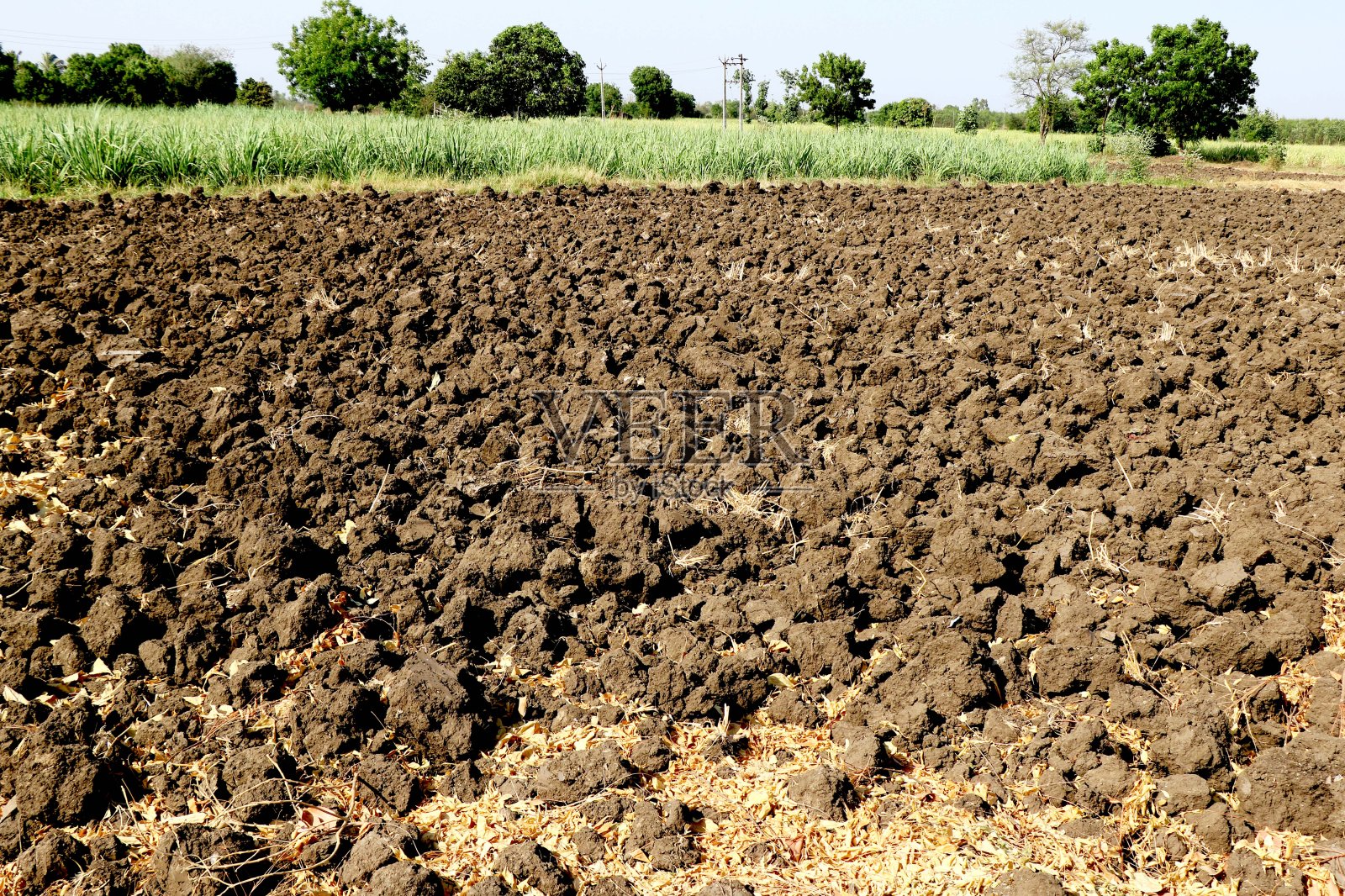 春耕的田野，蔚蓝的天空照片摄影图片