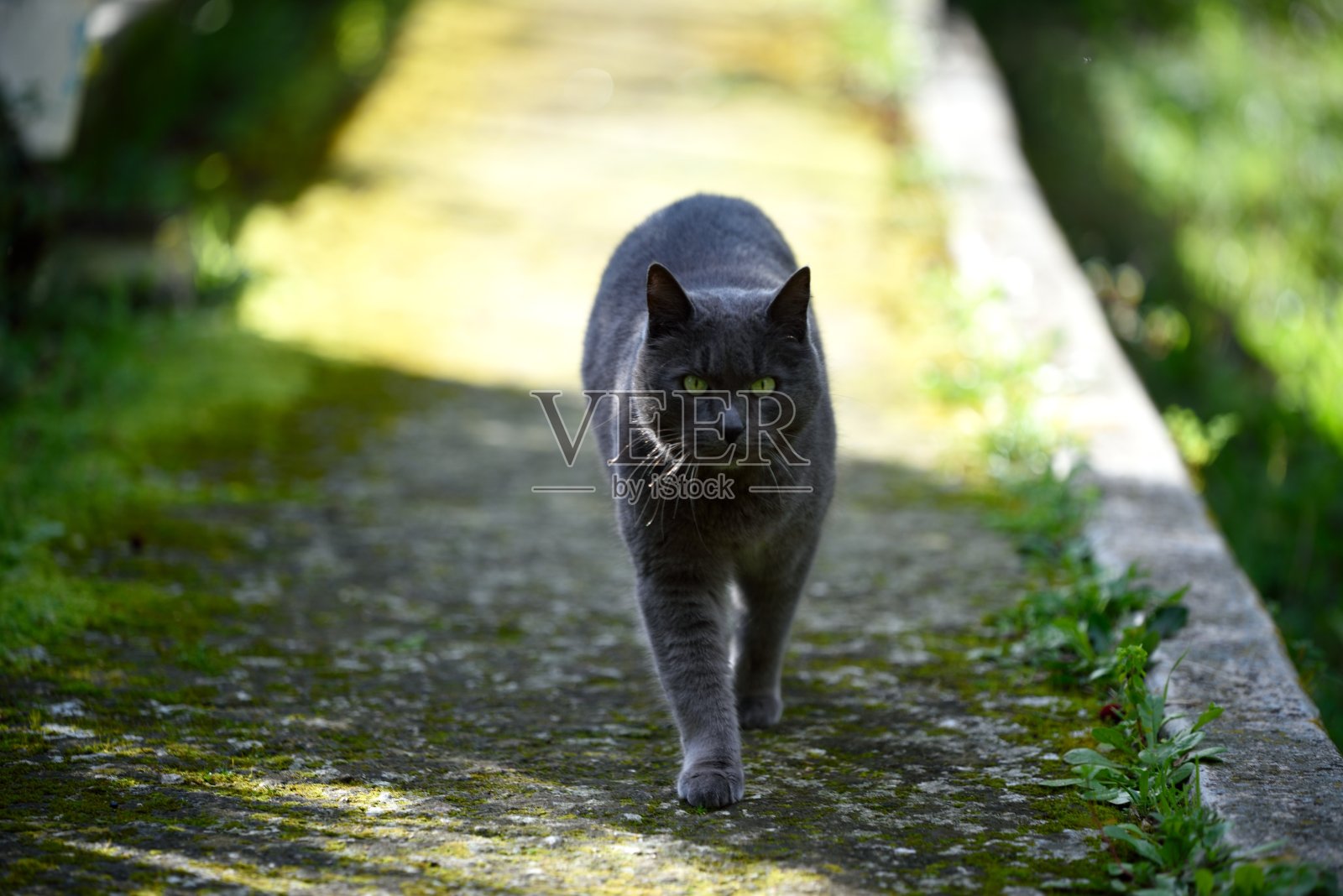 走对吗?照片摄影图片