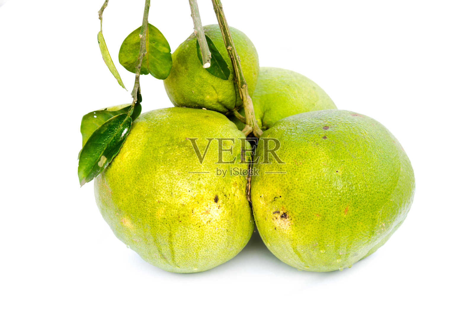 亚洲柚子的葡萄柚，叶在白色上分离照片摄影图片