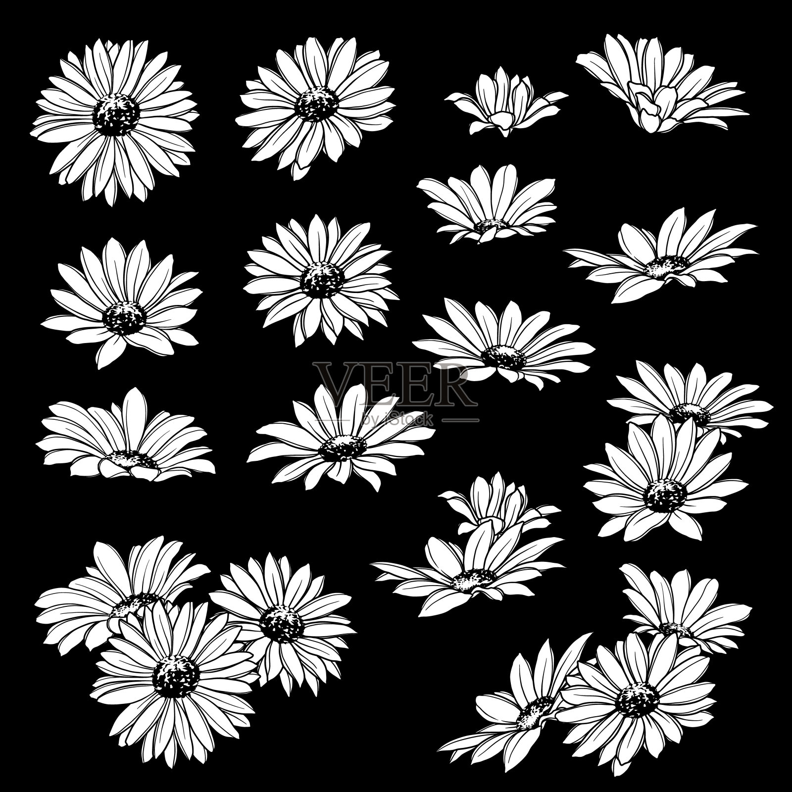 花朵插画素材插画图片素材