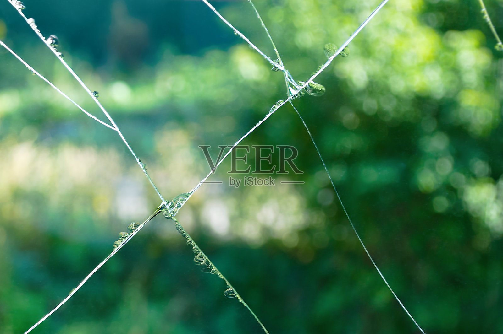 玻璃上有裂纹。特写镜头。照片摄影图片