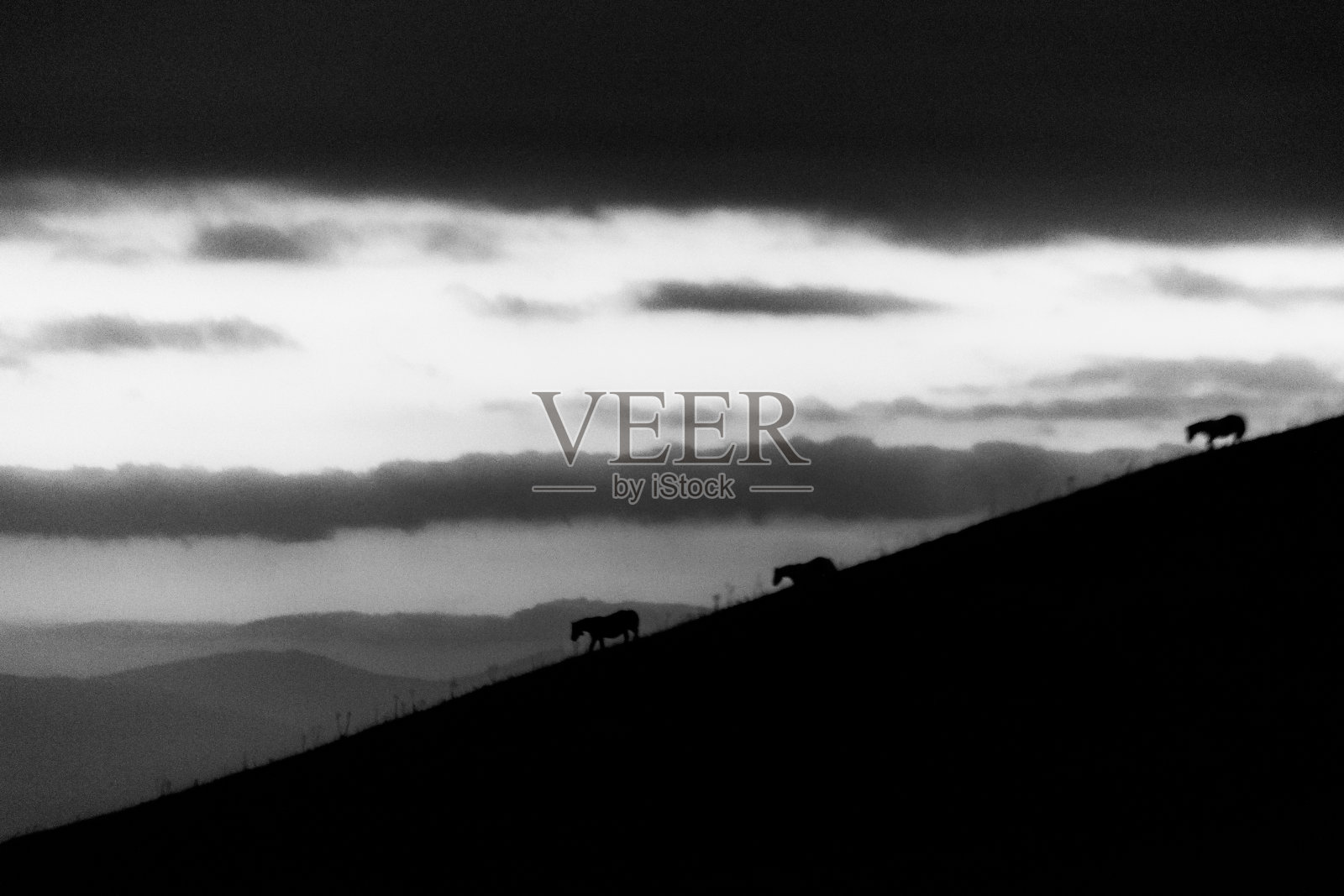 黄昏时分，远处的骏马在美丽的天空映衬下的山峰上剪影照片摄影图片