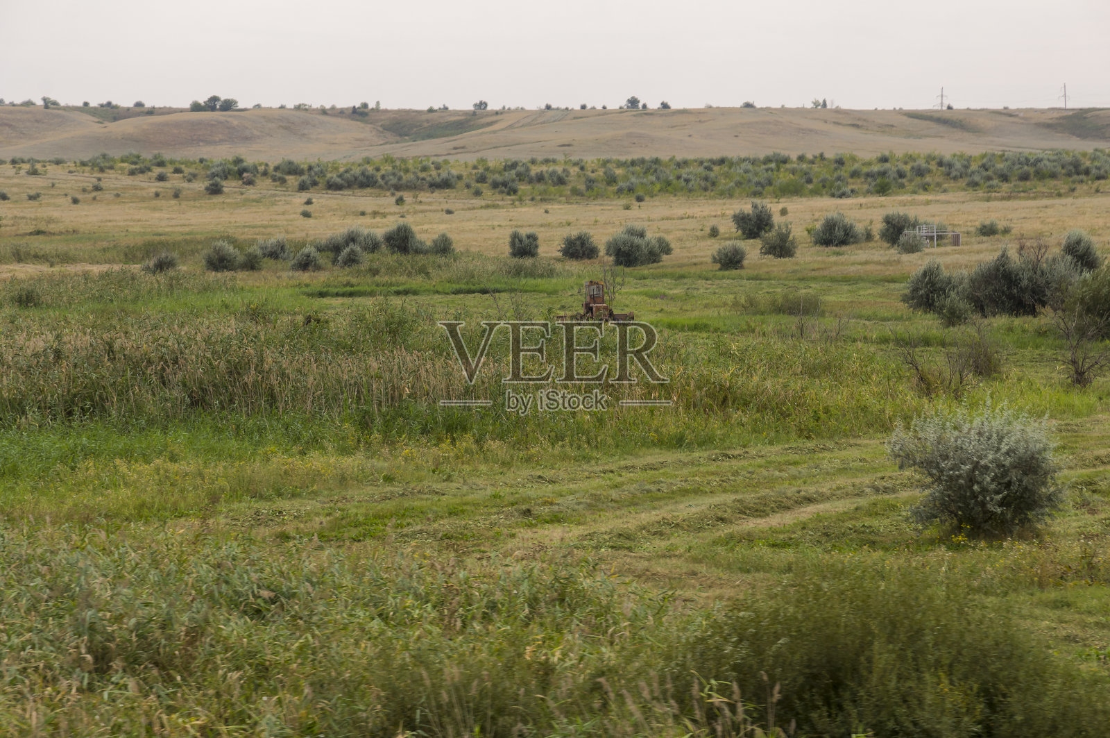 金色的草地，远处有孤独的绿树和湛蓝平静温柔的天空。黄色的干草。电场中的电杆。旅行。乌拉尔风景照片摄影图片