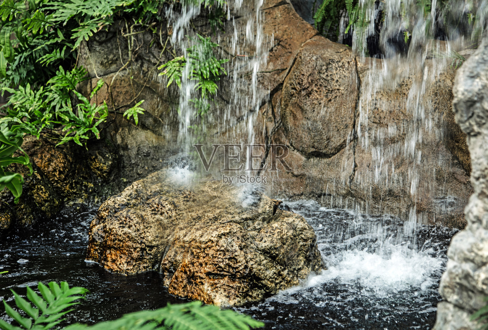 级联照片摄影图片