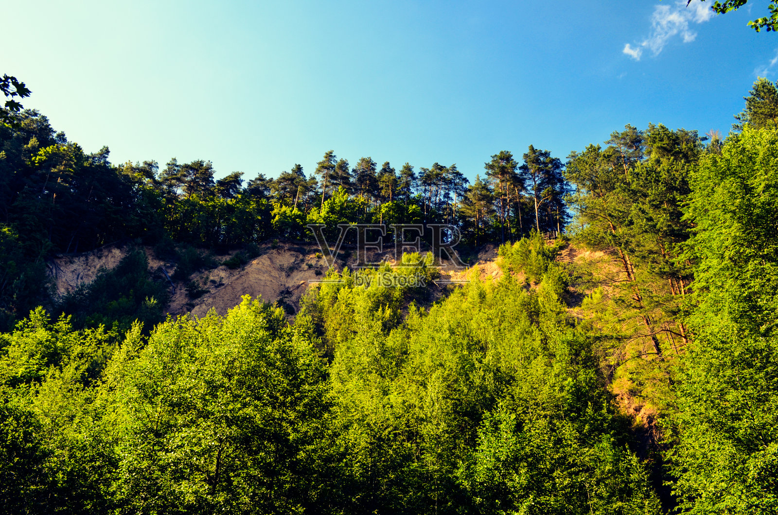 美丽的绿色景色和蓝天照片摄影图片