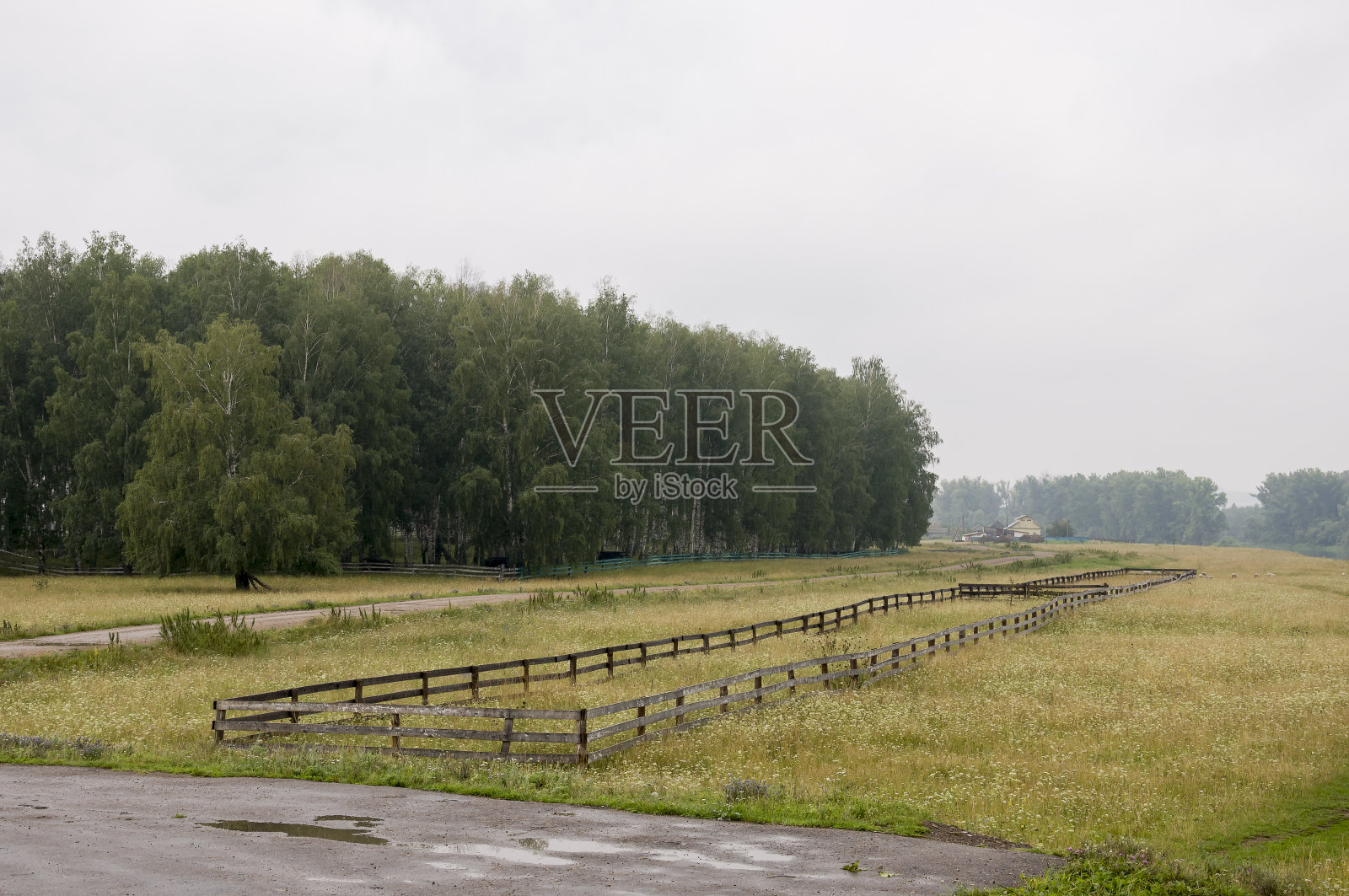 村庄上空秋高气寒，乌云密布。古老的当地农场和低篱笆在山区和田野。在郊区的路上旅行。牛羊在吃草照片摄影图片
