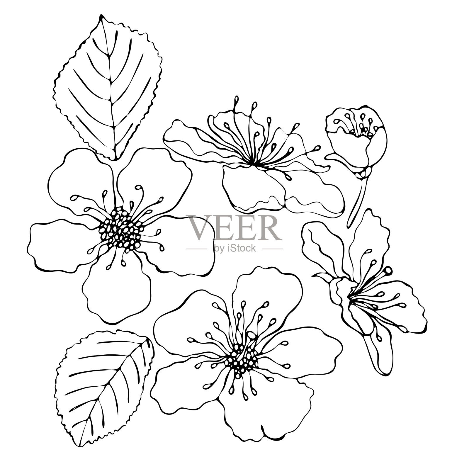 花色模板与黑色线花插画图片素材