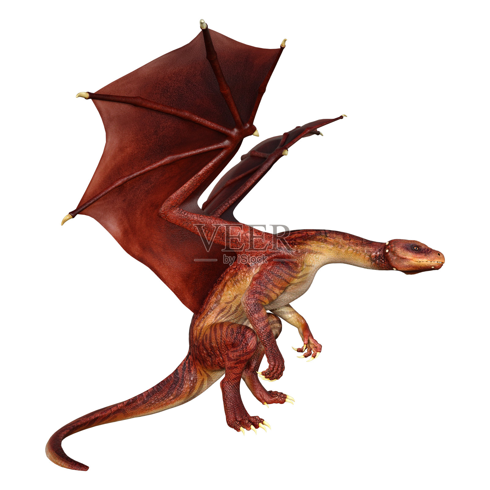 3D插图幻想龙在白色照片摄影图片