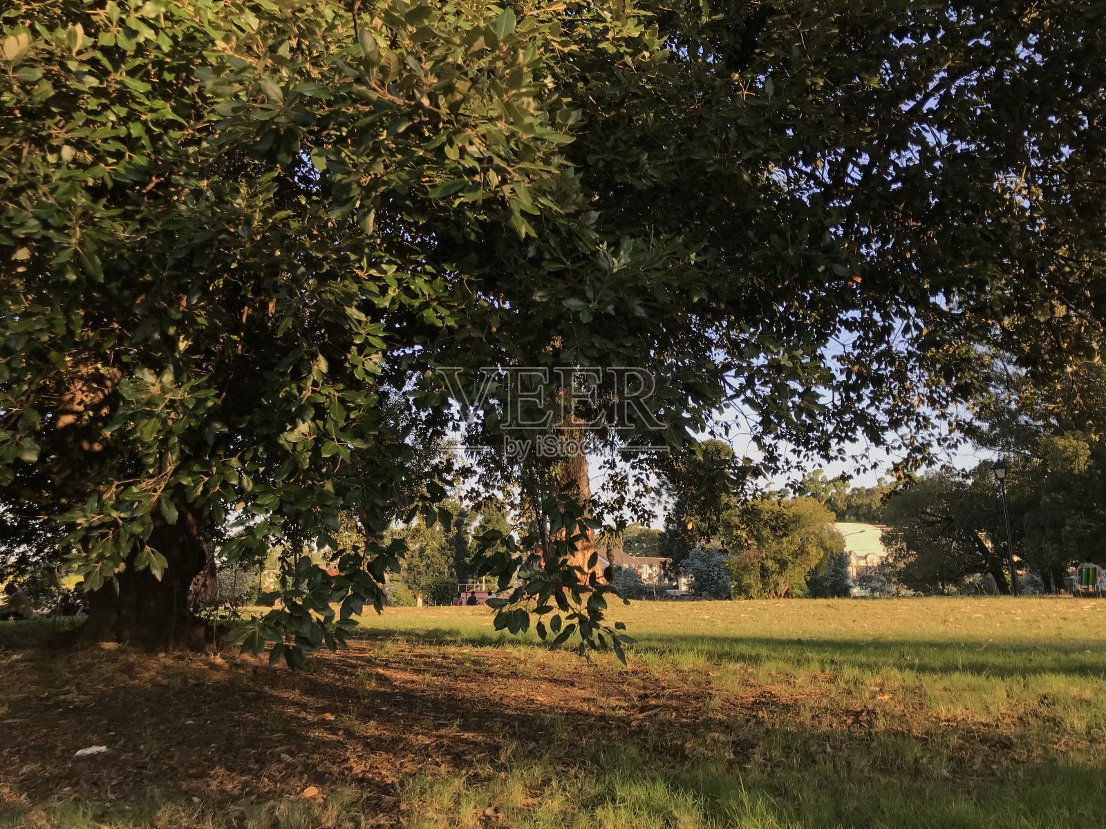 乌拉圭蒙得维的亚普拉多公园的一天照片摄影图片