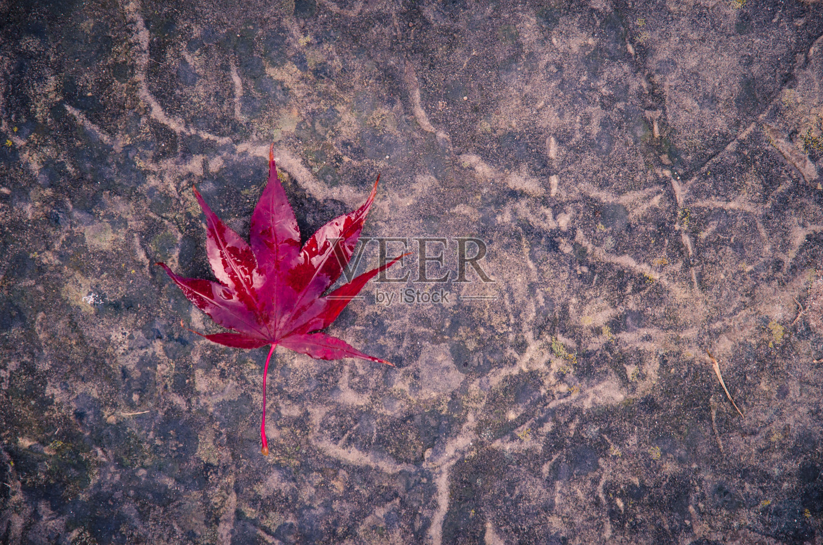 秋天照片摄影图片