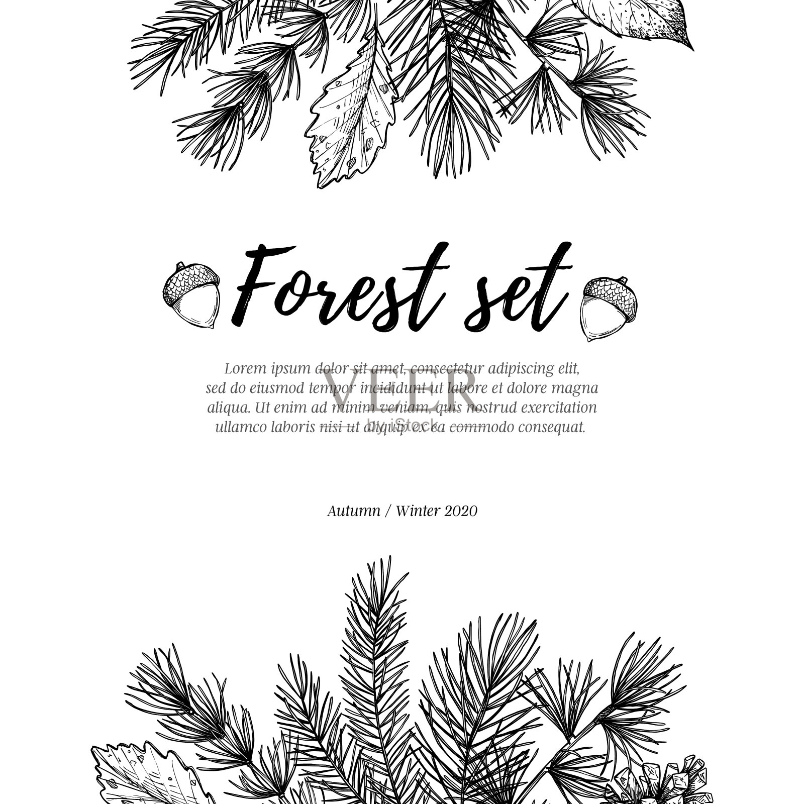 手绘矢量插图-森林框架云杉树枝，橡子，松果和落叶。冬天的标签。完美的邀请，贺卡，引用，博客，婚礼框架，海报插画图片素材