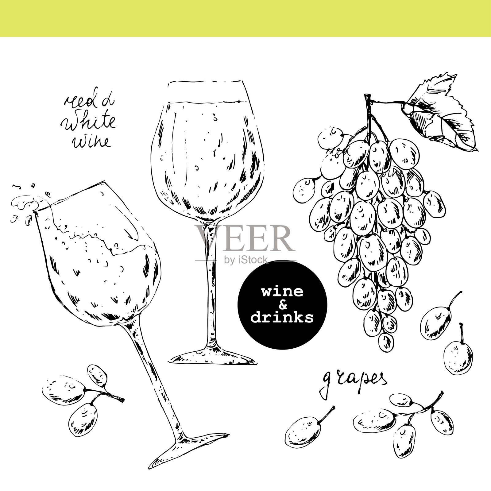 手绘的葡萄串，叶子，浆果和酒杯。插画图片素材