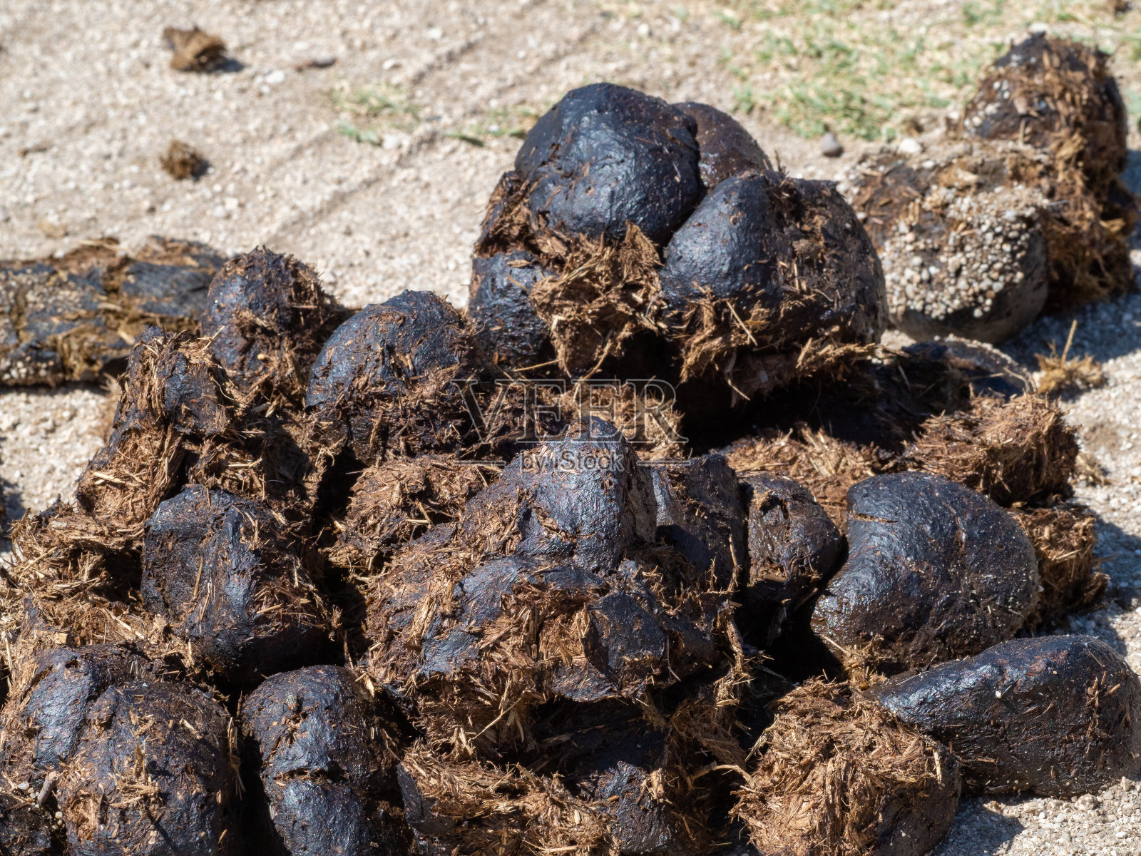 田里一堆新鲜的马粪